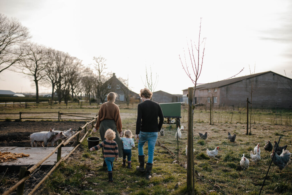 jong gezin op zelfvoorzienende boerderij in brabant bij varkens en kippen